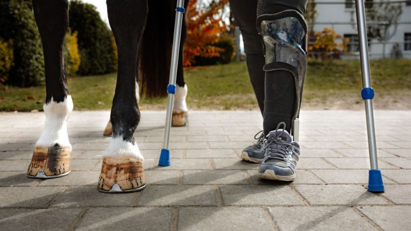 Swiss_Equestrian_Header_10_Verbaende